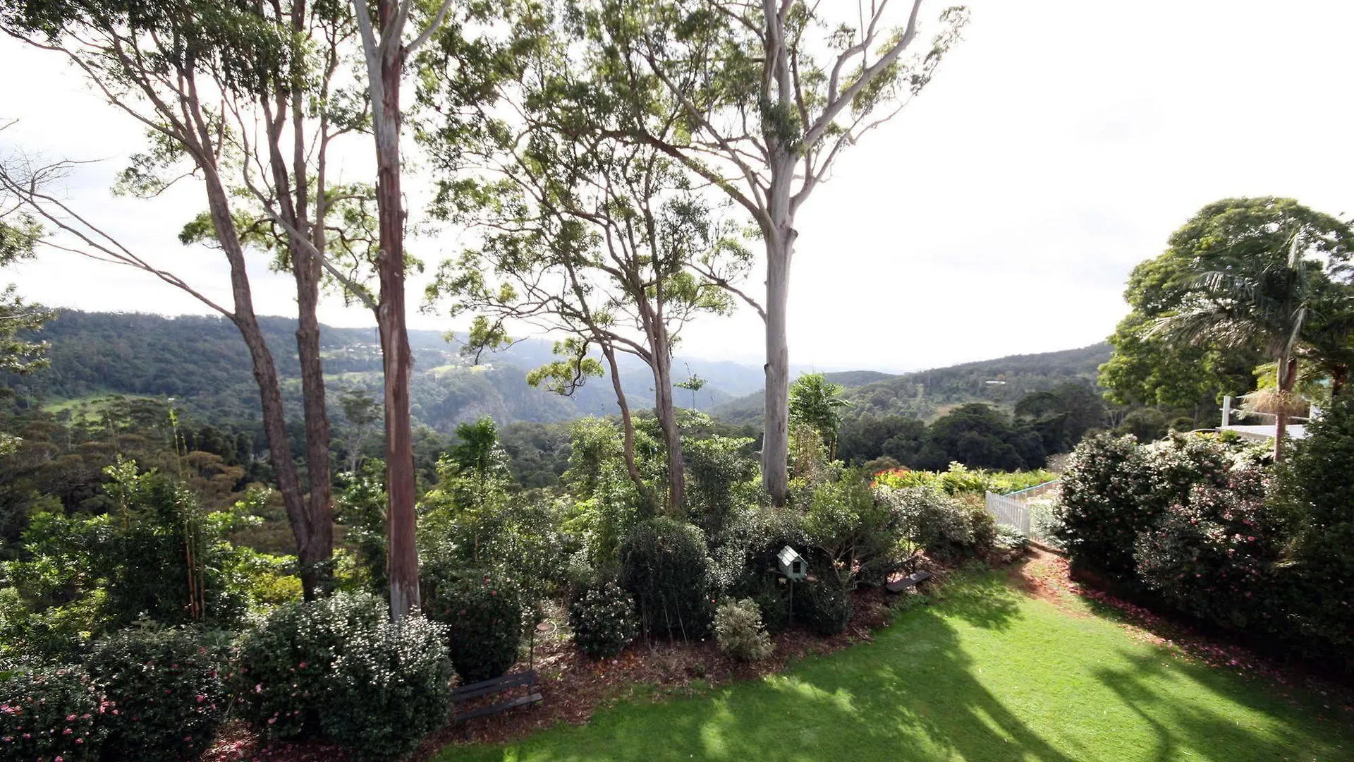 Motel The Tamborine - Boutique Hotel Mount Tamborine