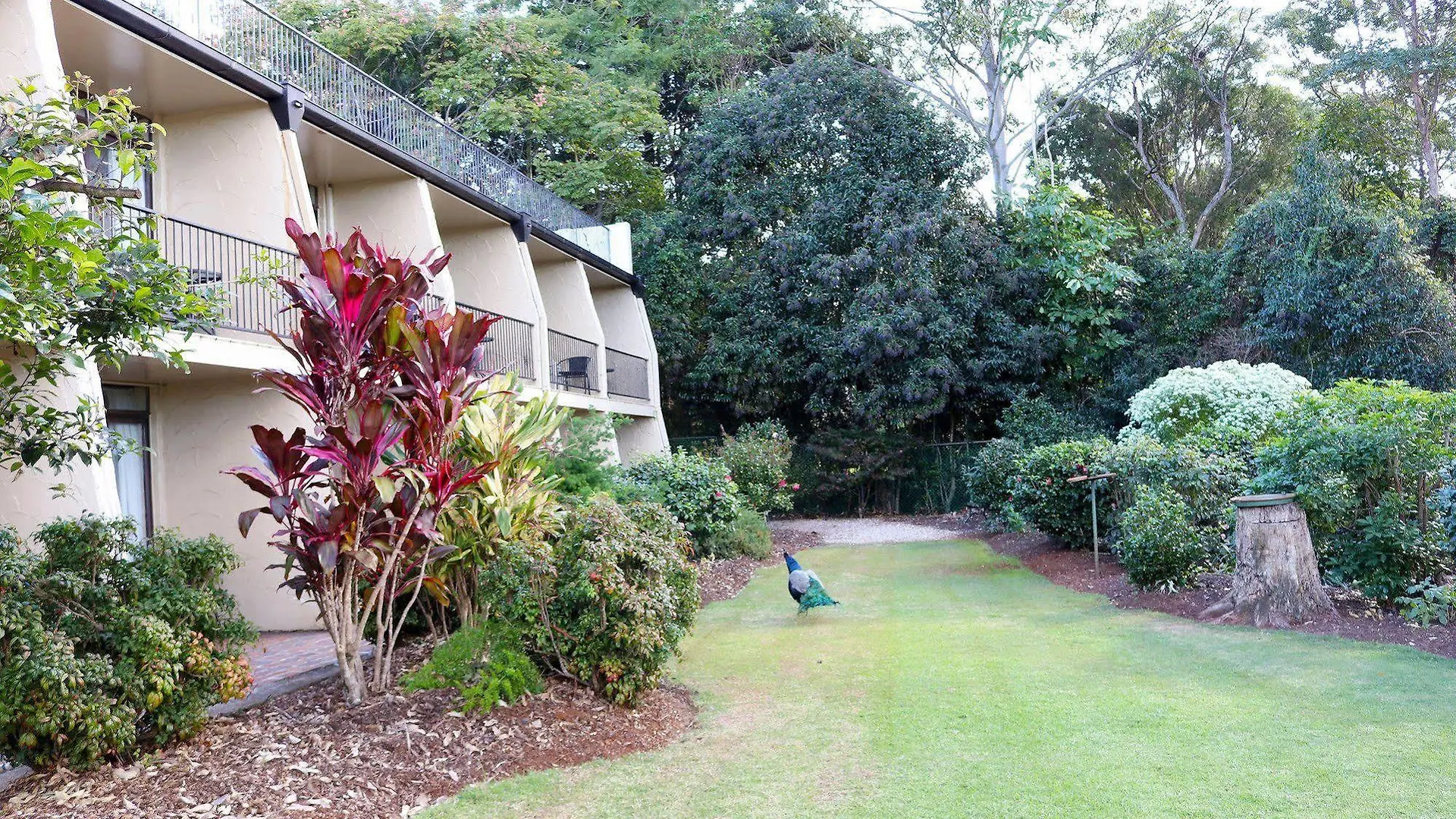 The Tamborine - Boutique Hotel Mount Tamborine